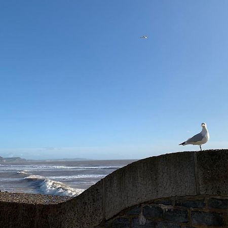 Nettle Bank Bed & Breakfast Lyme Regis Exterior foto