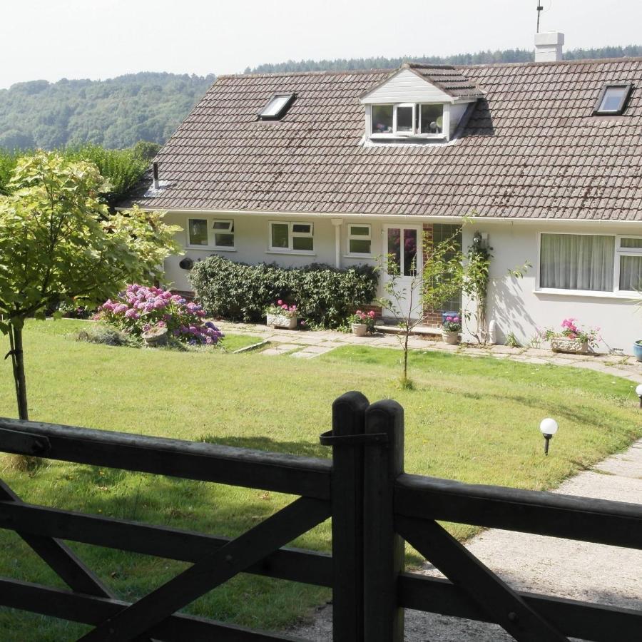 Nettle Bank Bed & Breakfast Lyme Regis Exterior foto