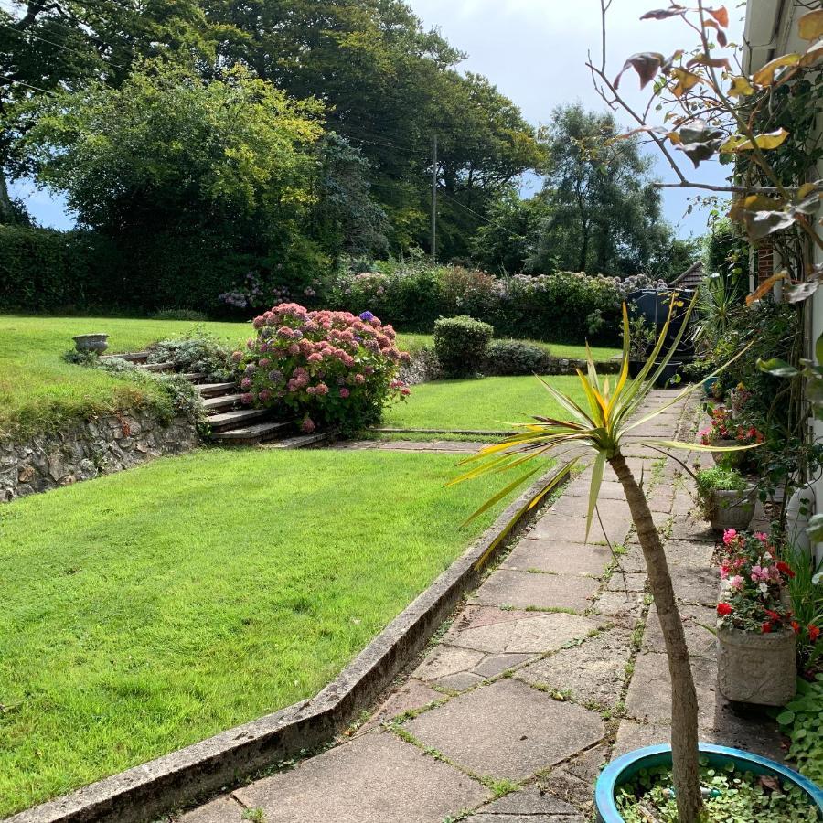 Nettle Bank Bed & Breakfast Lyme Regis Exterior foto